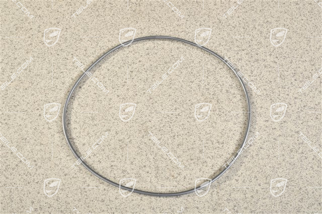 O-Ring