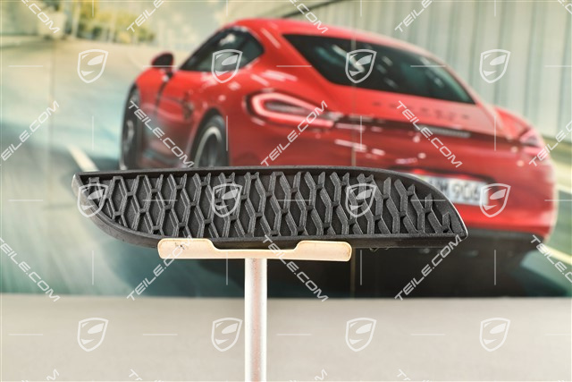 Rear bumper outlet cover, GT3, L