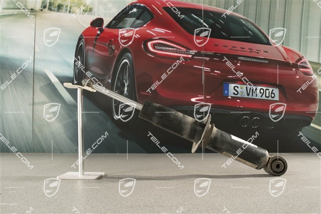 V8 4.5L 250kW, Stossdämpfer / Schwingungsdämpfer, HA