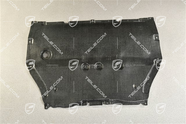 Unterbodenverkleidung, Unterbodenschutz, vorne