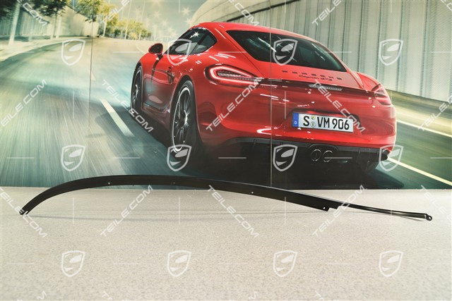 Zierleiste für Seitenteil, Schwarz, Targa, L