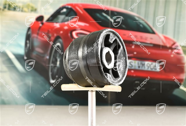 Rear axle differential mounting, L