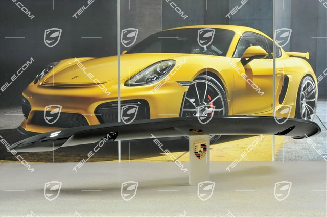 Rear spoiler / rear wing, upper section