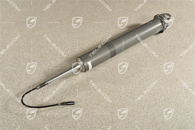 Stossdämpfer / Schwingungsdämpfer, HA, L=R