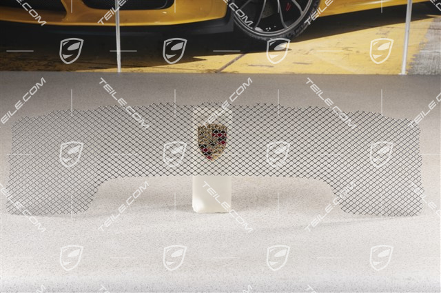 Lufteinlassgitter, 911R