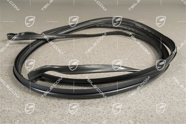 Hardtop Heckscheibe Dichtung