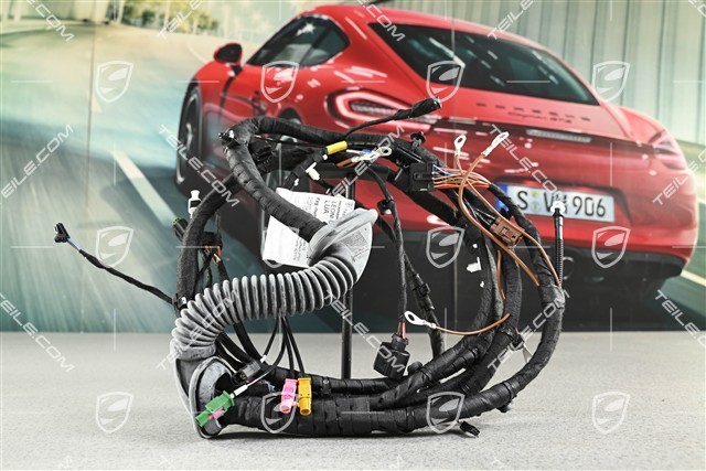 Wiring harness, Boot lid / trunk, reversing camera system, R