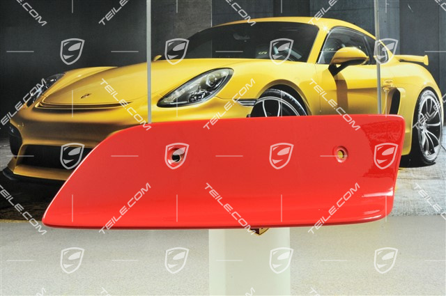 GT3 RS Platte für Heckflügel, Modell 2004, L