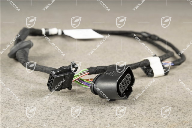 Wiring harness, Rear light, Center