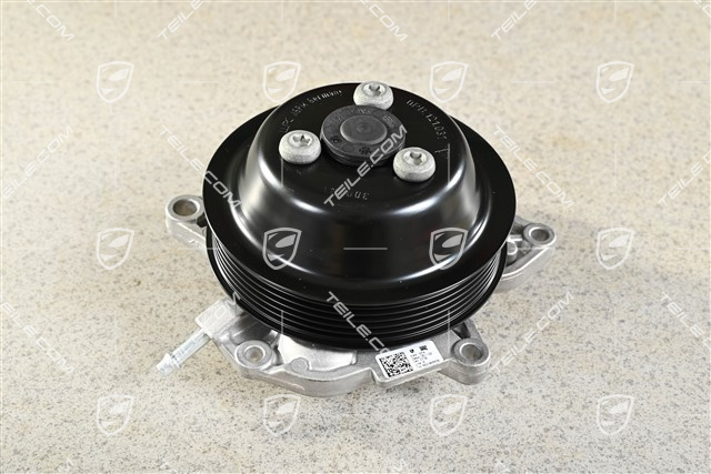 Water pump, complete with pulley