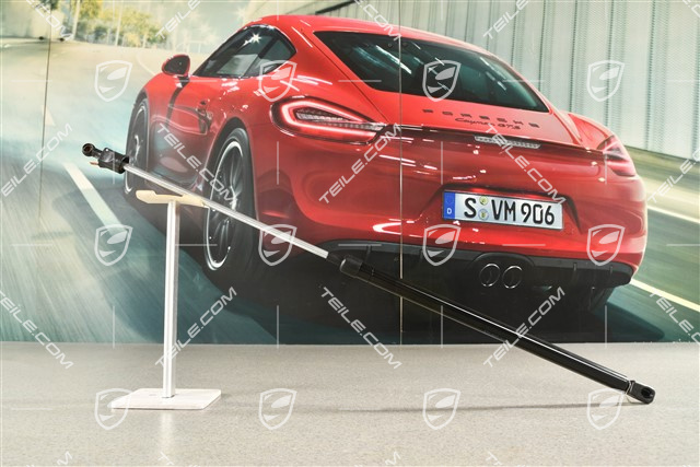 Gasdruckfeder, R