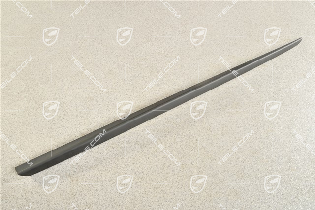 Coupe, Windscreen Water deflector strip, Satin black, L