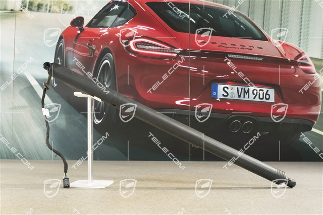 Damper cylinder Trunk / boot lid / automatic closing option / Powerlift