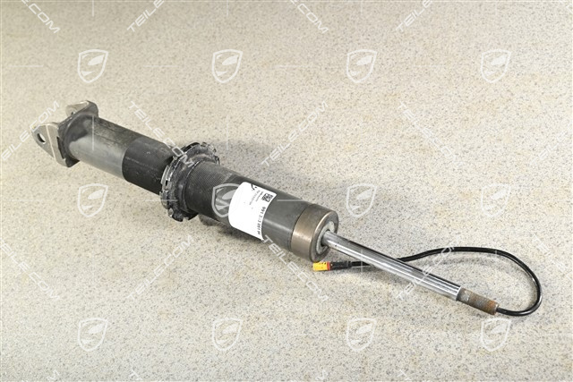 Stossdämpfer / Schwingungsdämpfer, Hinterachse, PASM. L=R