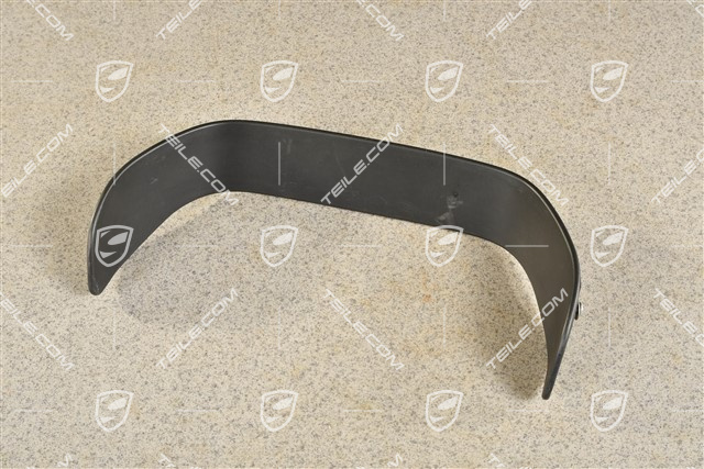 Cover trim plate (above tailpipe)