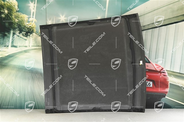 Outer roof panel, carbon, USA version, with hole for antenna