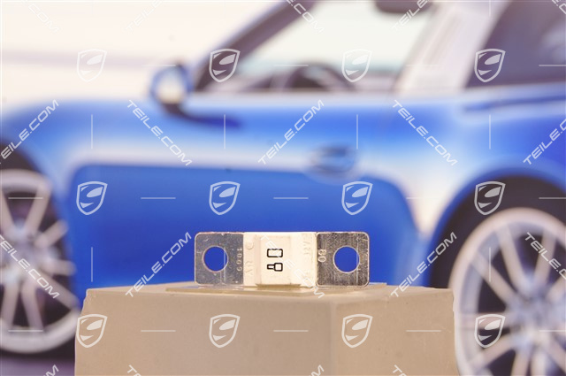 Fuse / Main fuse / Maxi fuse / lock 32v 80 A