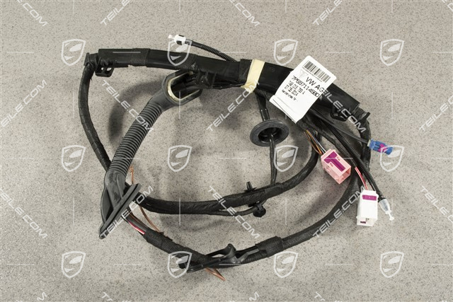 Wiązka instalacji elektrycznej tylnej klapy, DAB / Real Top View, L