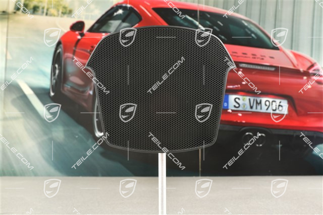 Dashboard / Instrument cluster cover Grille / Grate, Black