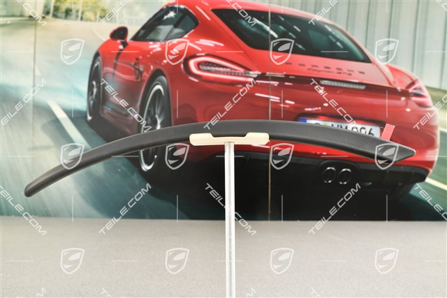 Gummilippe GT3, Hinten, L