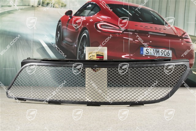 GT3 Grille lining rear, L