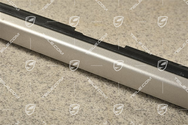 Moulding, front, Platinim silver metallic, L