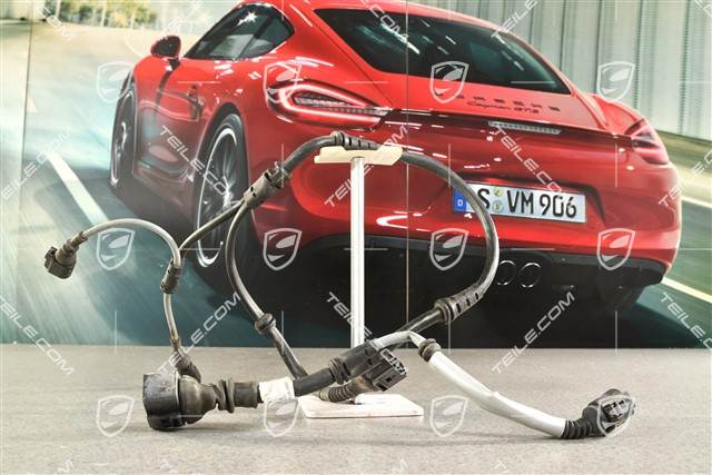 GT3, Kabelstrang Hinterachse, PASM, L=R