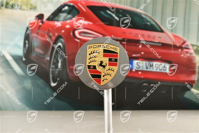 Hub cap, convex, Titanium