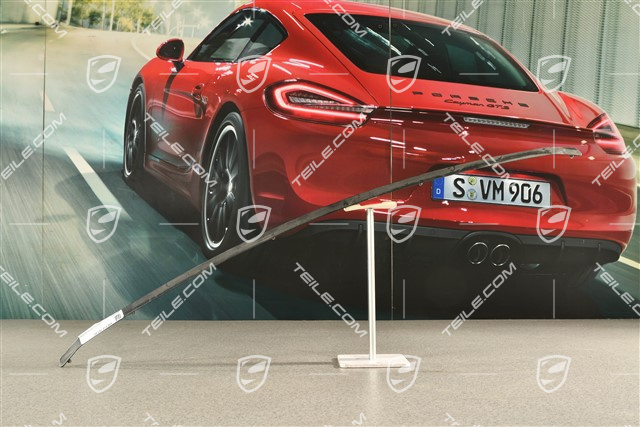 Befestigungsschiene für Heckspoiler Gummibalg Rückwand, unten