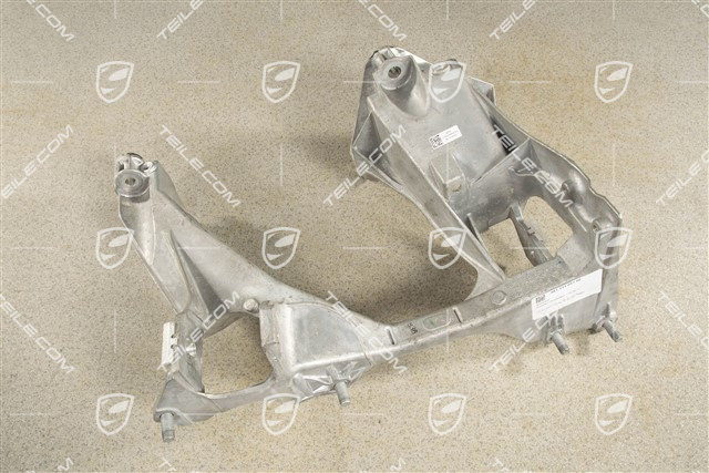 Rear suspension side section / panel, GT4, L
