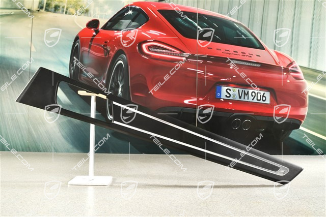 Zierleiste für Türverkleidung, Aluminium Schwarz Eloxiert, Hinten, R