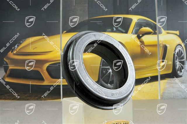 Rillenkugellager mit Gehäuse Rillenkugellager mit Gehäuse