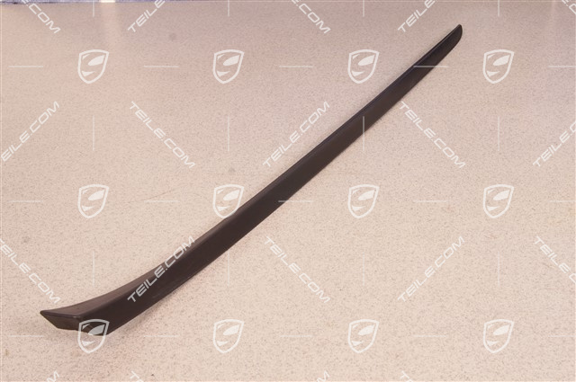 Windshield Water drain strip, A-pillar, black matte, L