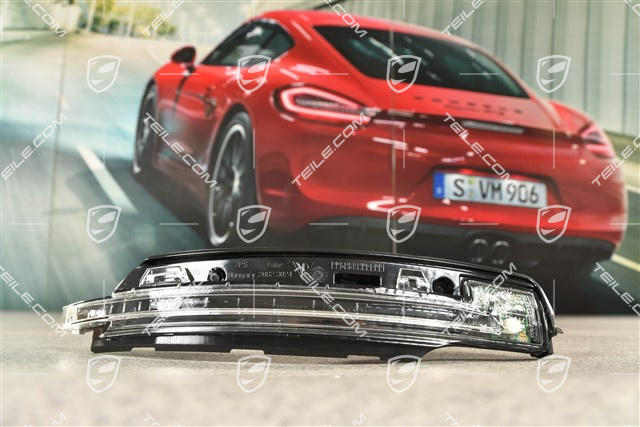 Seitenblinkleuchte, Aussenspiegel, R