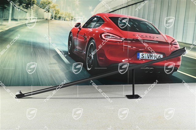 Türdichtung auf Zierleiste, Vorne, Oben, R