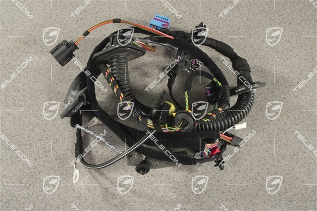 Kabelstrang / Kabelbaum Beifahrertür, Klangpaket ASK, R
