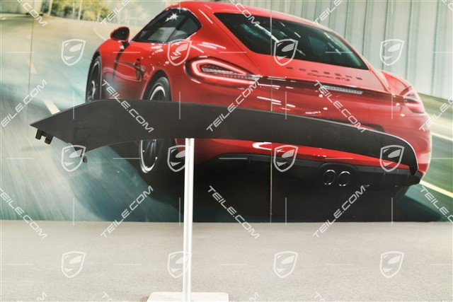 C2, Disc / trim upper for front bumper retaining frame, Black, R