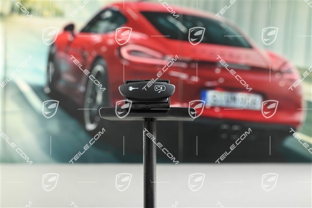 Przycisk centralnego zamka, L