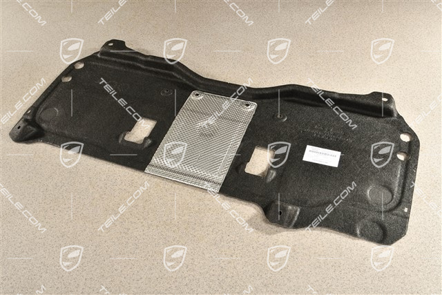 Unterbodenschutz, Hinten