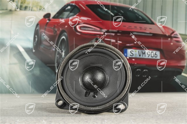 Mid-range loudspeaker, door, Burmester, L=R