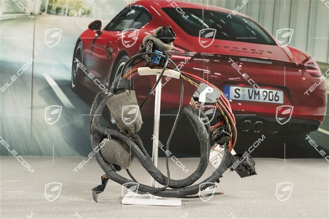 Targa, Roof wiring harness