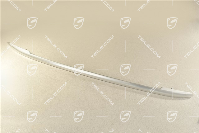 Dachreling, komplett, silber, R