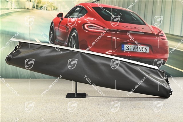 Panoramadach / Glasdach Rollo