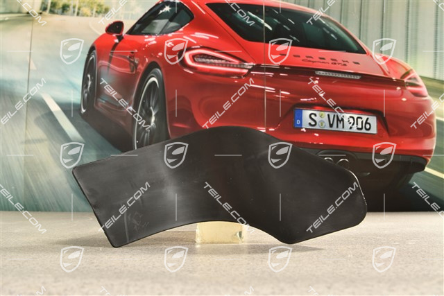 Luftleitblech / Spoiler für Lenker, R