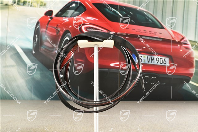 Coupe, Carbon-Dach Dichtung, R