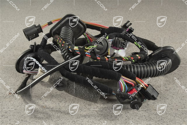 Kabelstrang / Kabelbaum Beifahrertür, Klangpaket ASK, R