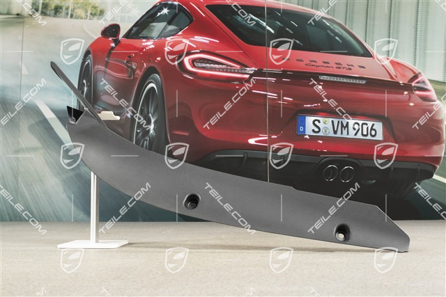 Wing / Fender Rear Cover, Black, L
