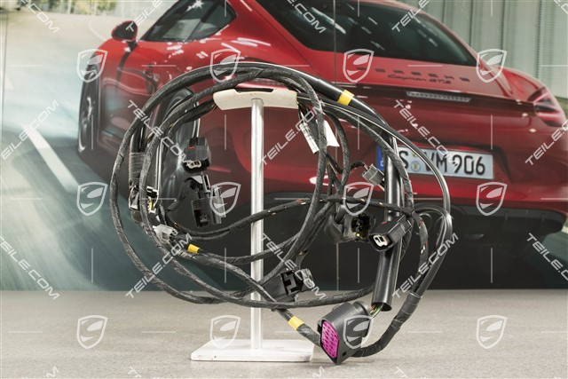 Wiring harness, front bumper