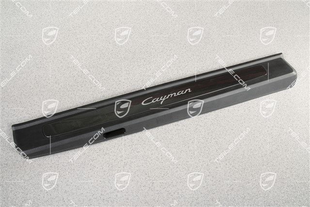 Blenden/Einstiegleisten, ohne Beleuchtung, Carbon, "Cayman", Satz, L+R