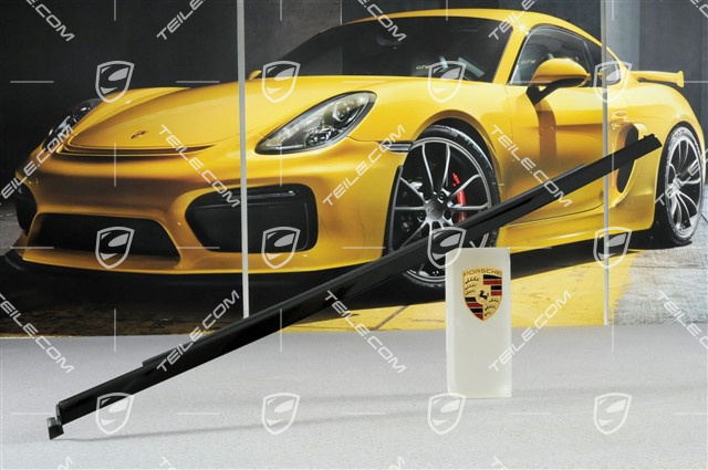 Zierleiste mit Dichtung, Aluminium Paket, Tür hinten, schwarz, L